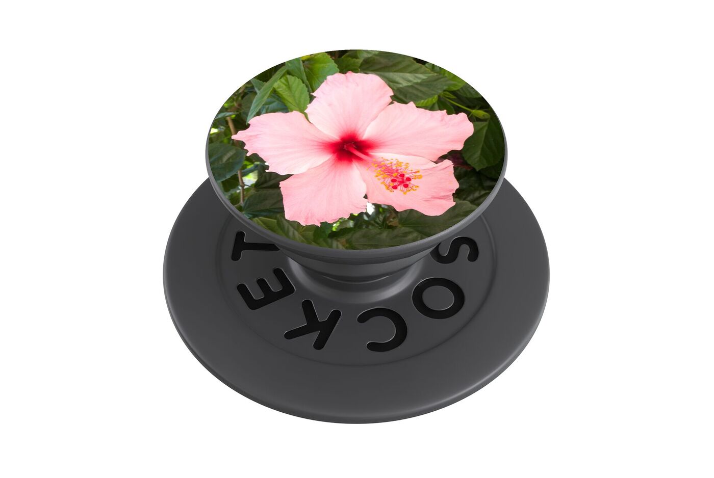 Handyhalter zum Aufkleben mit rundem Griff und Foto einer rosa Blüte vor grünen Blättern