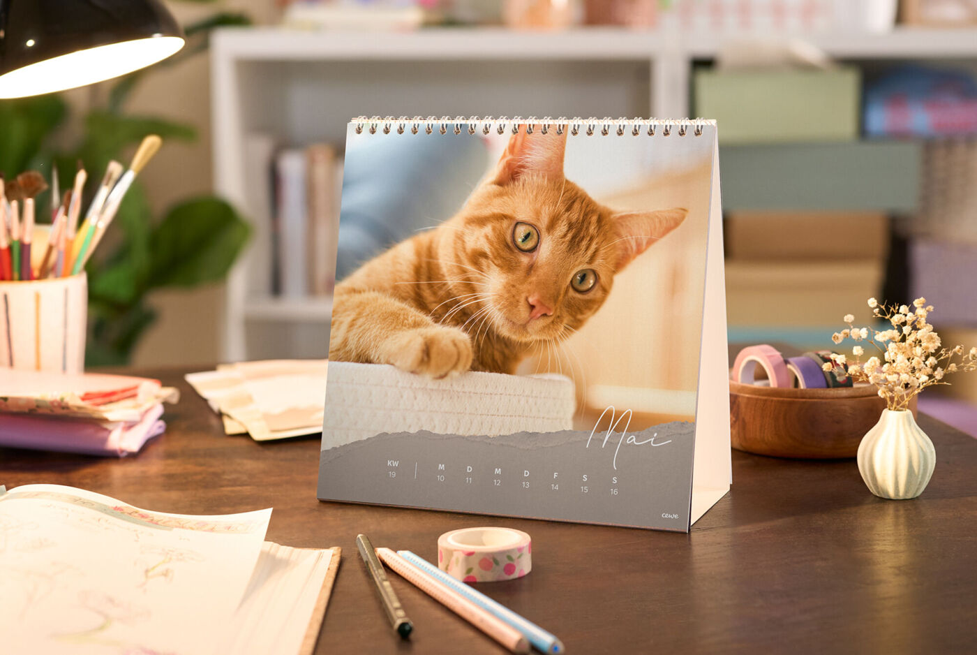CEWE photo calendar on a desk featuring a photo of a ginger cat, with the month of May clearly displayed