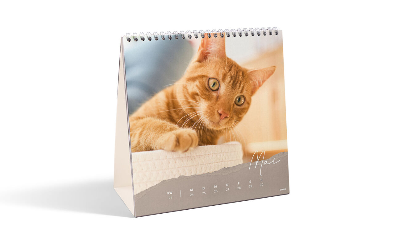 Square Desk Calendar