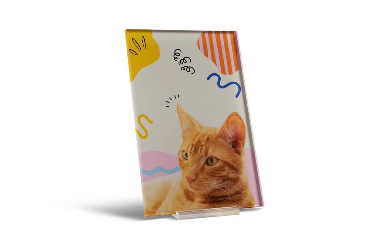 Poster in plexiglass